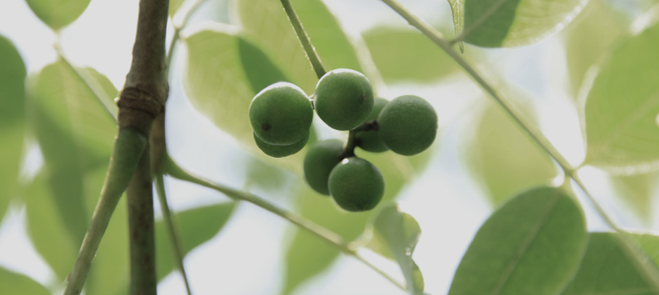k豆钱包 - APP下载官网
